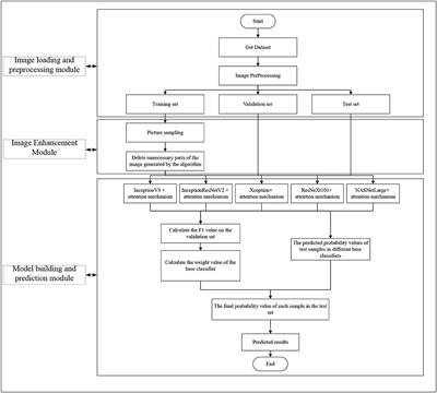 DR-IIXRN : Detection Algorithm of Diabetic Retinopathy Based on Deep Ensemble Learning and Attention Mechanism